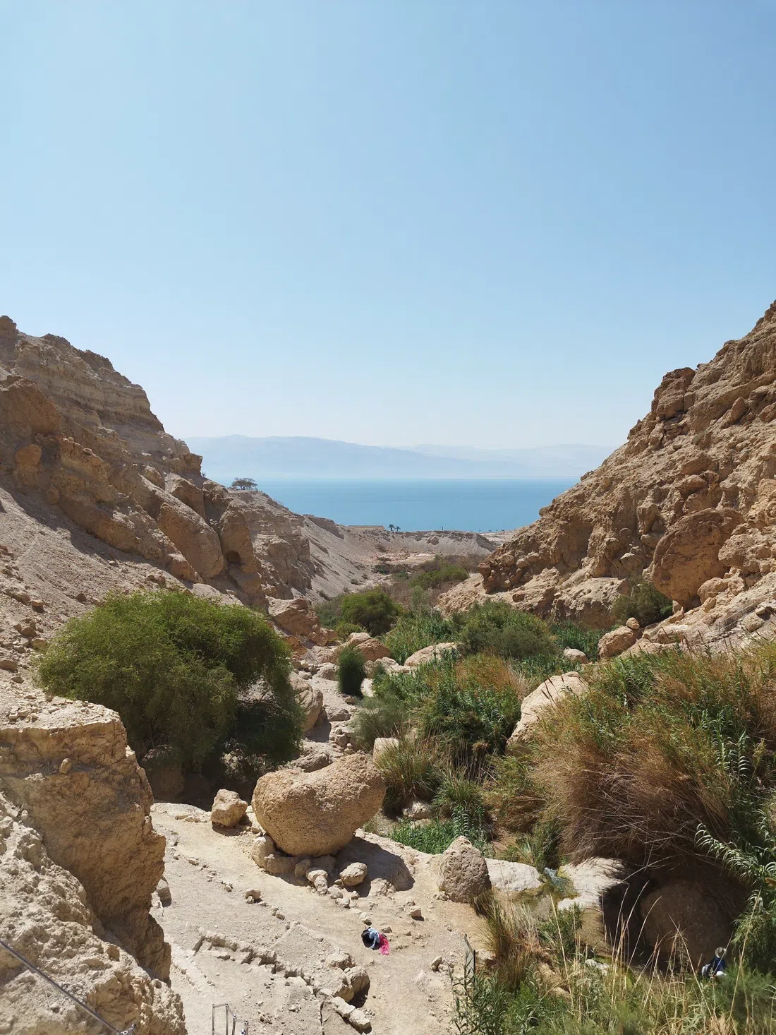 En Gedi Nature Reserve, Tel Aviv