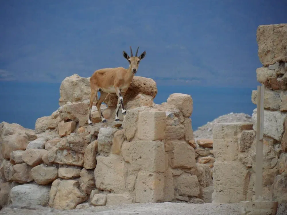 Qumran National Park, Tel Aviv