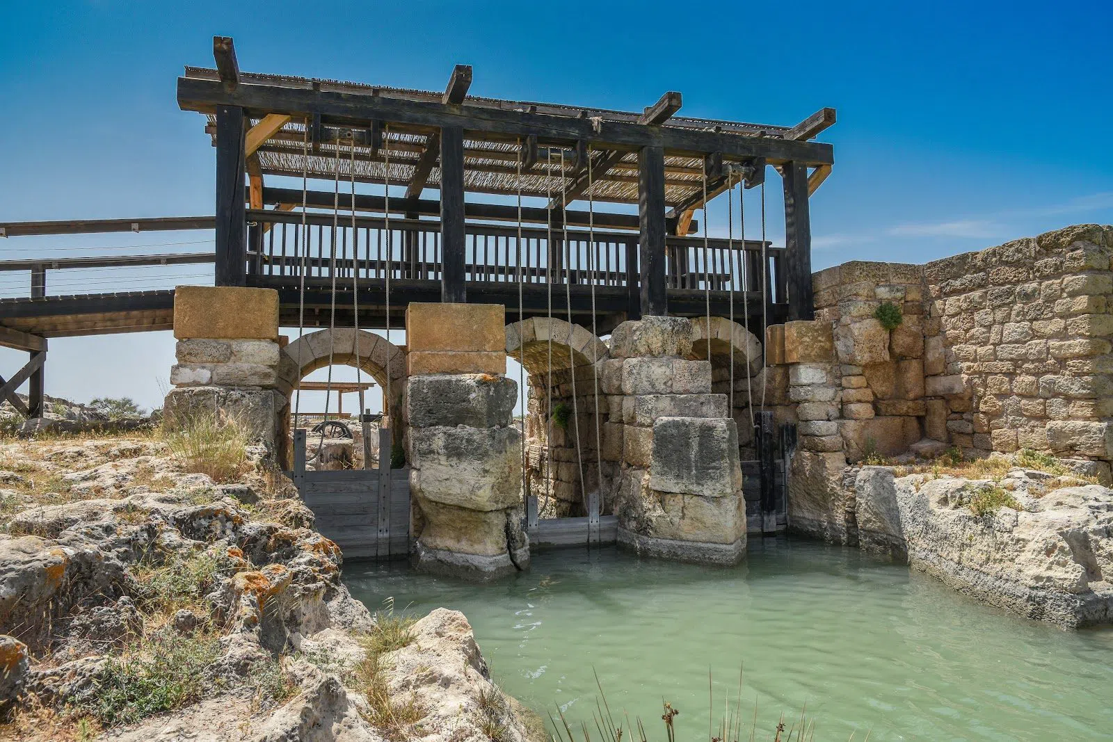 Taninim Stream Nature Reserve (Nahal Taninim), Tel Aviv